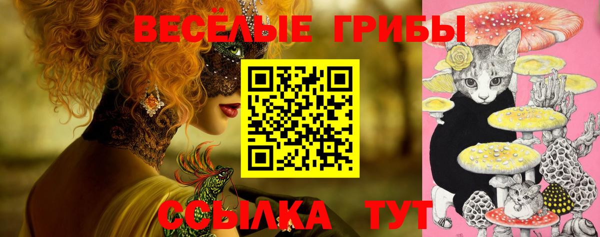 Дзержинский  Галлюциногенные грибы GOLDEN TEACHER  цены   Псилоцибиновые грибы MAGIC MUSHROOMS  Вход с VPN 
